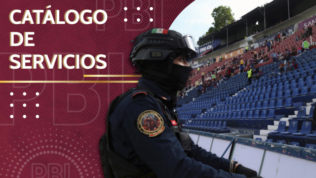 Catálogo de Servicios PBI