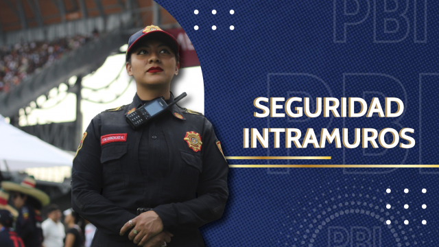Seguridad Intramuros