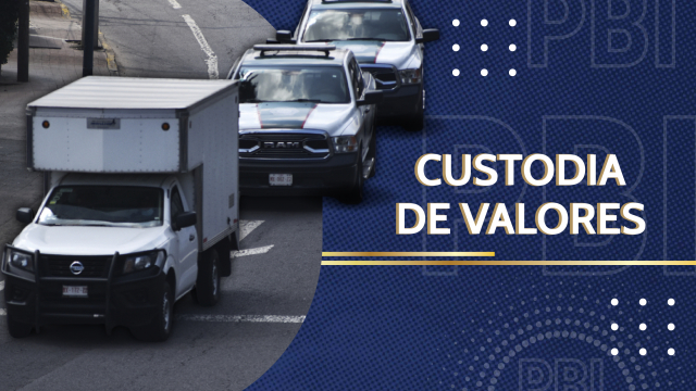 Custodia de Valores